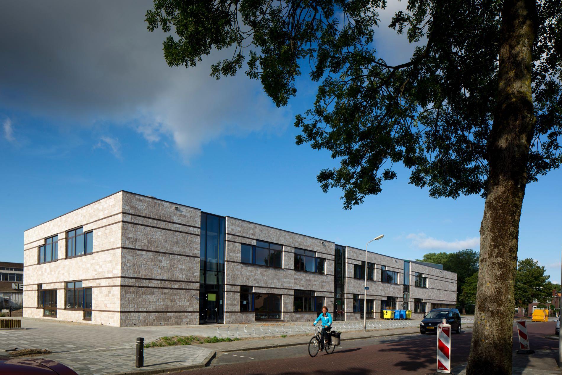 Natuurlijk gemêleerde steenstrip uit de tafelpers